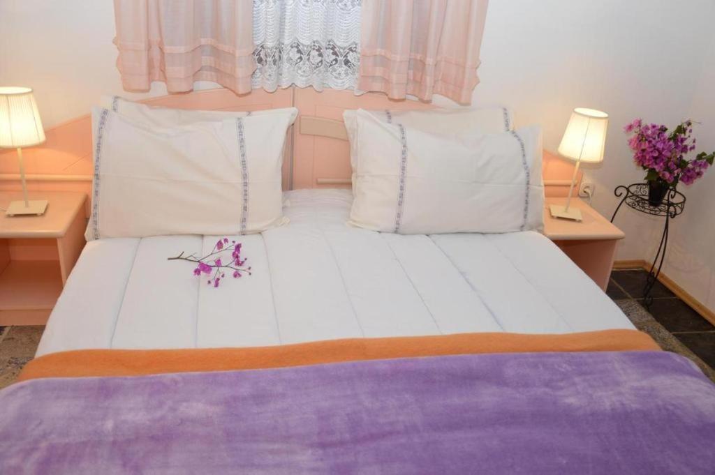 Apartments Agata Nova Vas  Zewnętrze zdjęcie